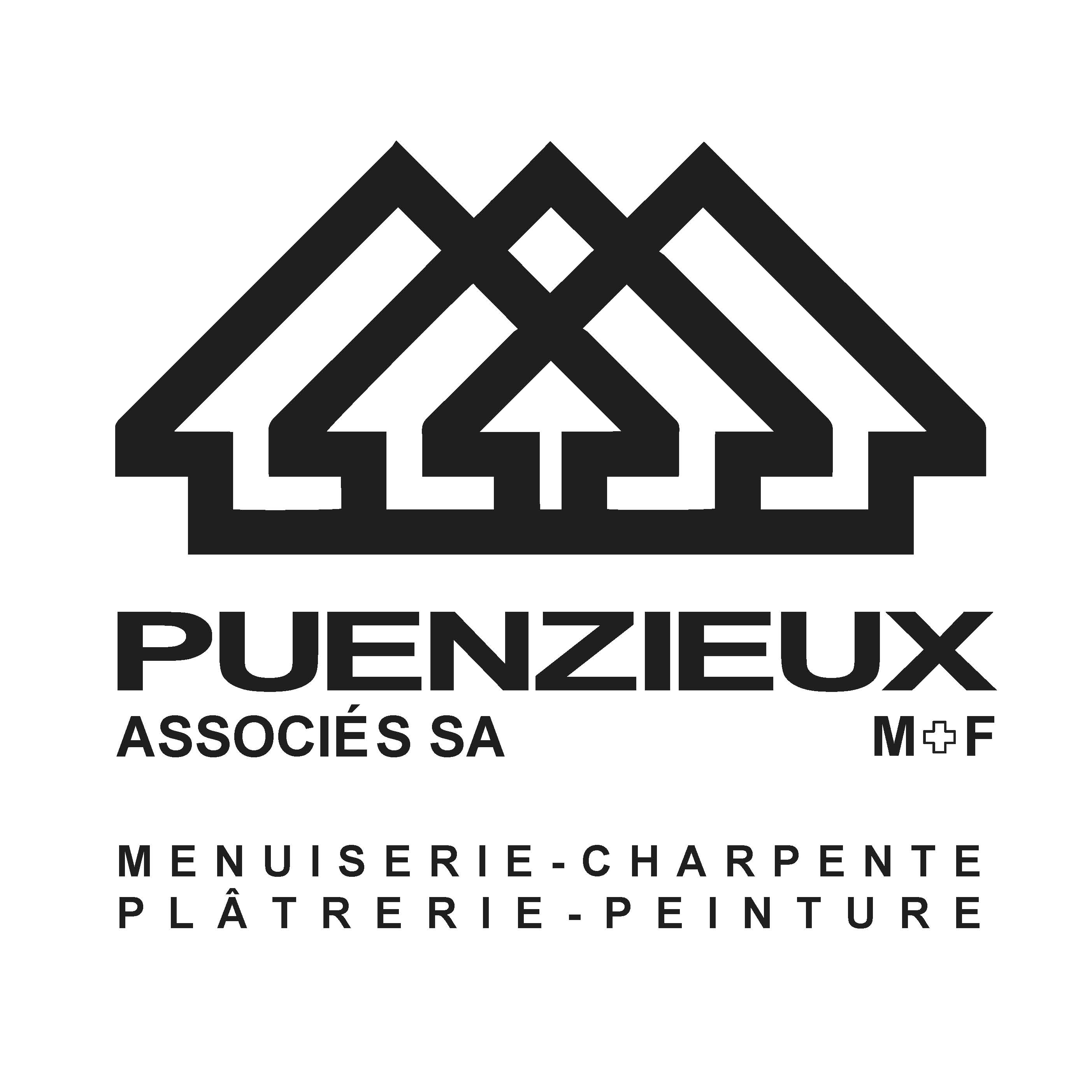 Logo PZXSA